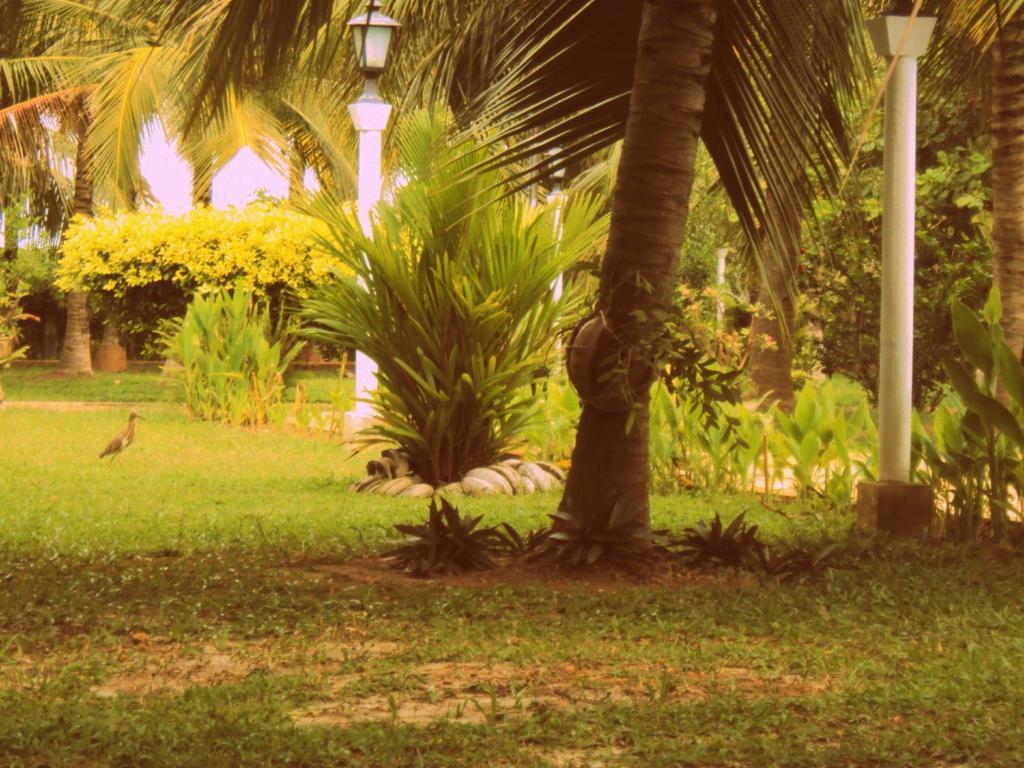 Hotel Lagoon Paradise Negombo Buitenkant foto