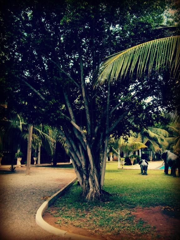Hotel Lagoon Paradise Negombo Buitenkant foto
