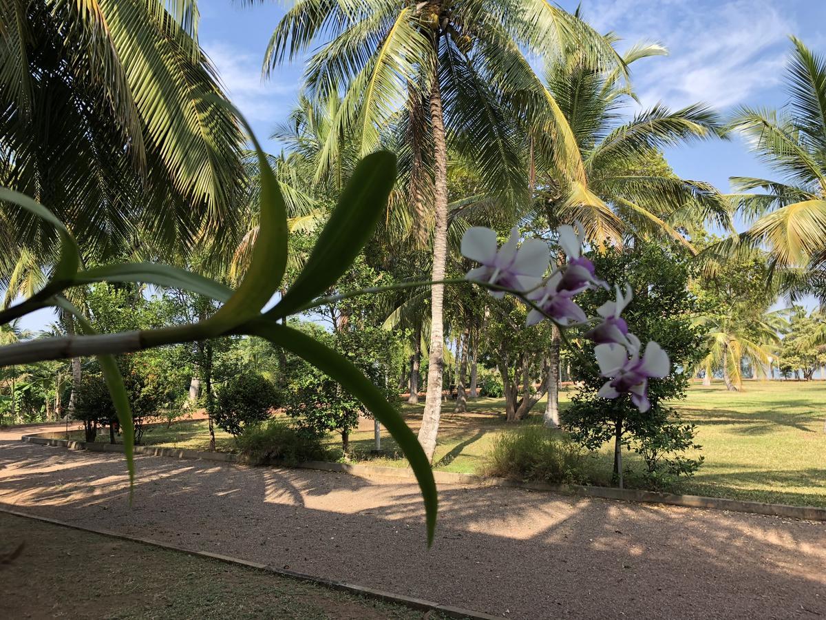 Hotel Lagoon Paradise Negombo Buitenkant foto