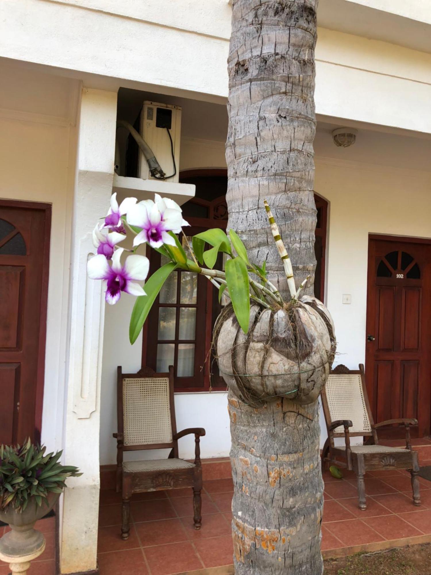 Hotel Lagoon Paradise Negombo Buitenkant foto