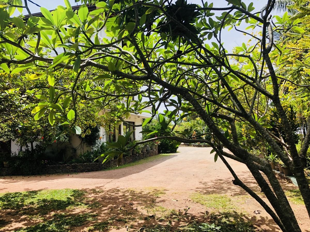 Hotel Lagoon Paradise Negombo Buitenkant foto