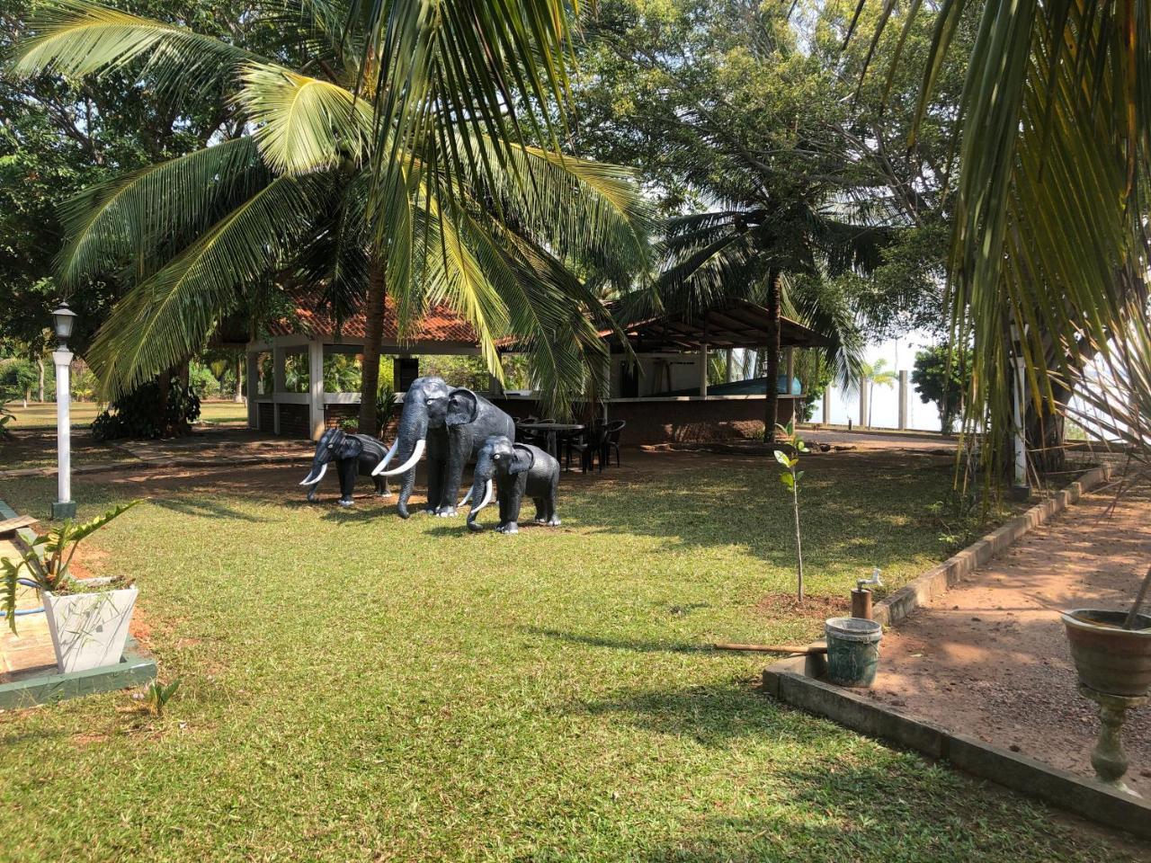 Hotel Lagoon Paradise Negombo Buitenkant foto